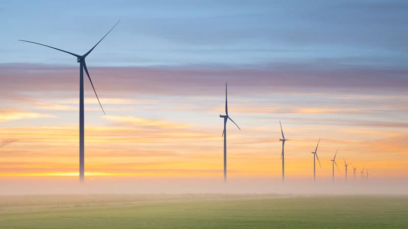 wind farm projects